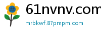 61nvnv.com